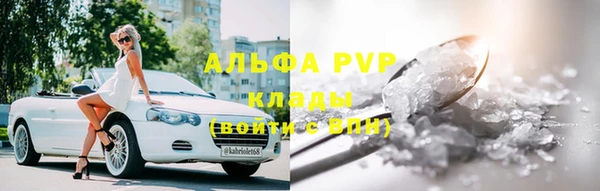 хмурый Магас