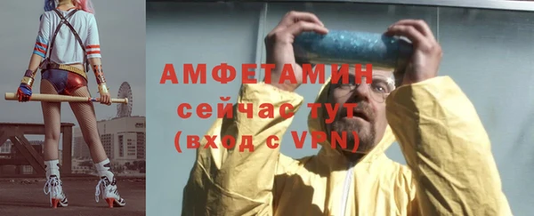 хмурый Магас