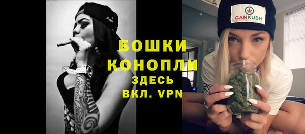 хмурый Магас