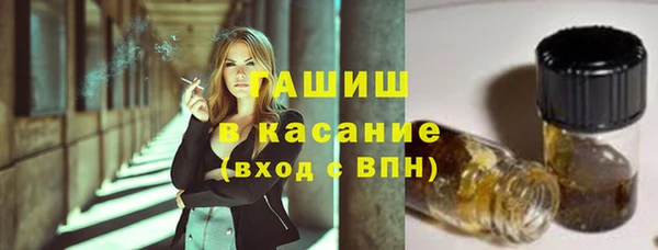 хмурый Магас