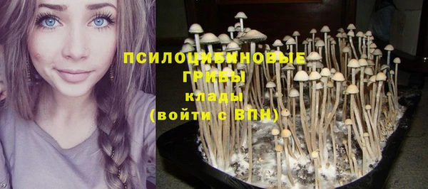хмурый Магас