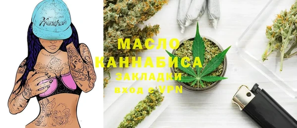 хмурый Магас