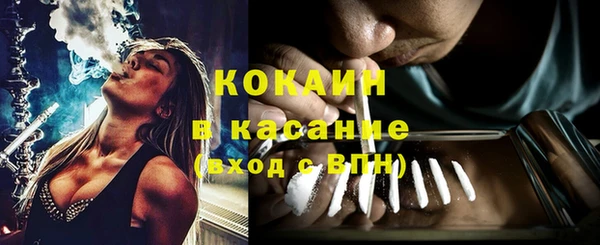 хмурый Магас