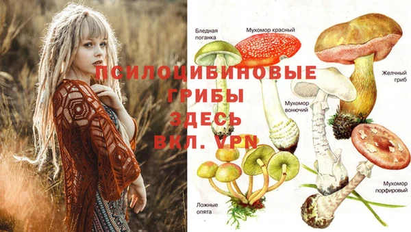 марки nbome Магадан