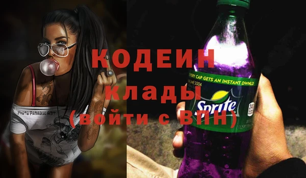 хмурый Магас