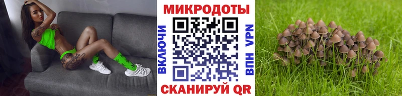 Купить закладки Заринск Псилоцибиновые грибы MAGIC MUSHROOMS