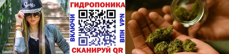 Купить  Заринск  Шишки марихуана Amnesia 